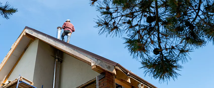 Birds Removal Contractors from Chimney in Winthrop, MA
